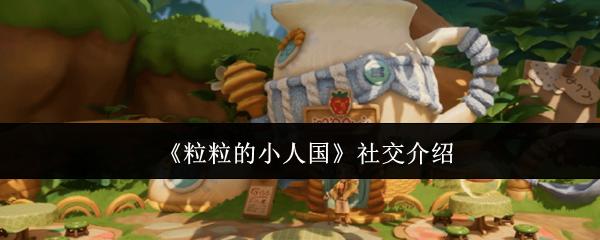 粒粒的小人国 社交介绍