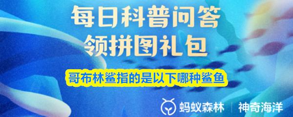 哥布林鲨指的是以下哪种鲨鱼