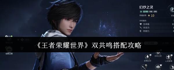 王者荣耀世界 双共鸣搭配攻略