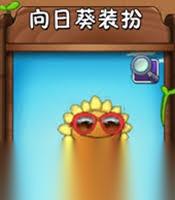 植物大战僵尸2怎么获取向日葵甜心蛋糕装扮