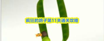 疯狂的鸽子第11关怎么通关