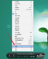 Honeyview如何隐藏控制栏