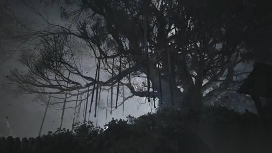 Project Rabbit公布 暗黑童话风类魂 撤离新作