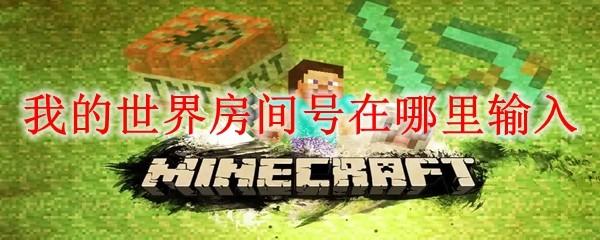我的世界房间号在哪里输入