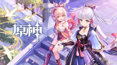 原神布伦妮怎么样