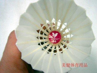 中羽论坛怎么快速升级