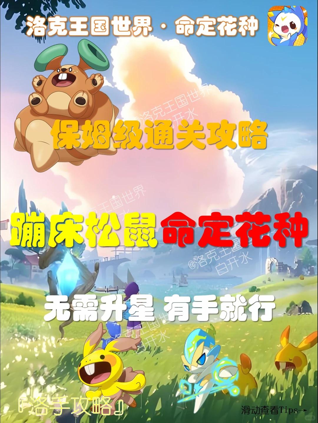 洛克王国世界命定花种蹦床松鼠怎么打