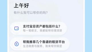 支付宝阿宝办事如何保障资金安全