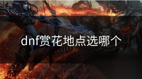 dnf赏花地点选哪个