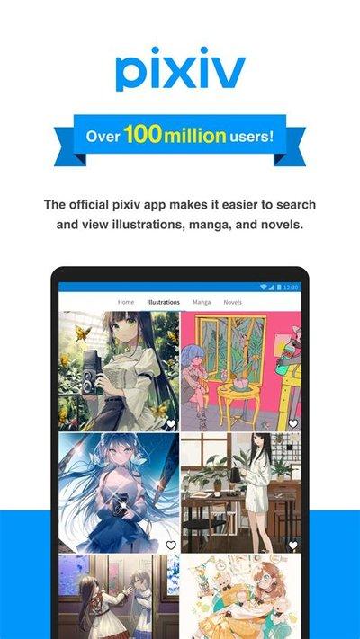 pixiv网页版官网网址是什么