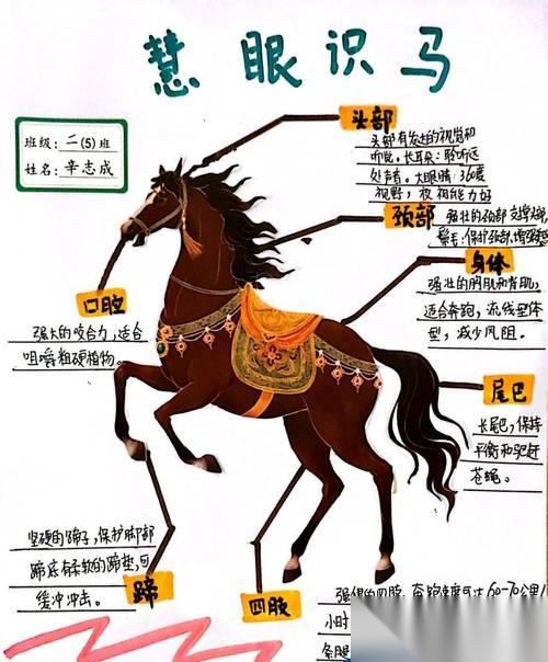 天国拯救脱缰野马攻略 用游戏方法体验脱缰野马驯服的乐趣