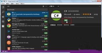 Visual Studio Code安装后打开黑屏如何解决
