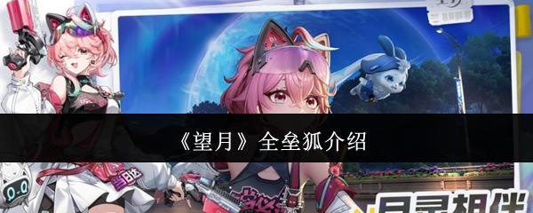 望月全垒狐怎么样全垒狐介绍