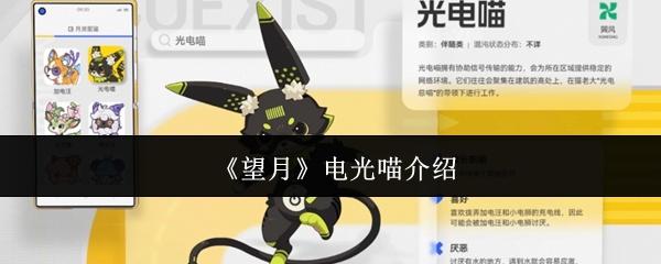 望月电光喵怎么样电光喵介绍