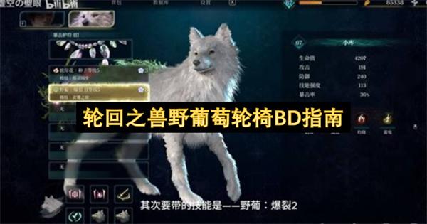 轮回之兽野葡萄轮椅BD指南