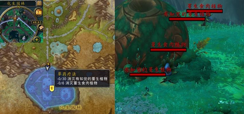 魔兽世界草药疗法任务攻略